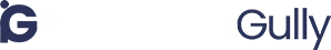 insurancegully logo